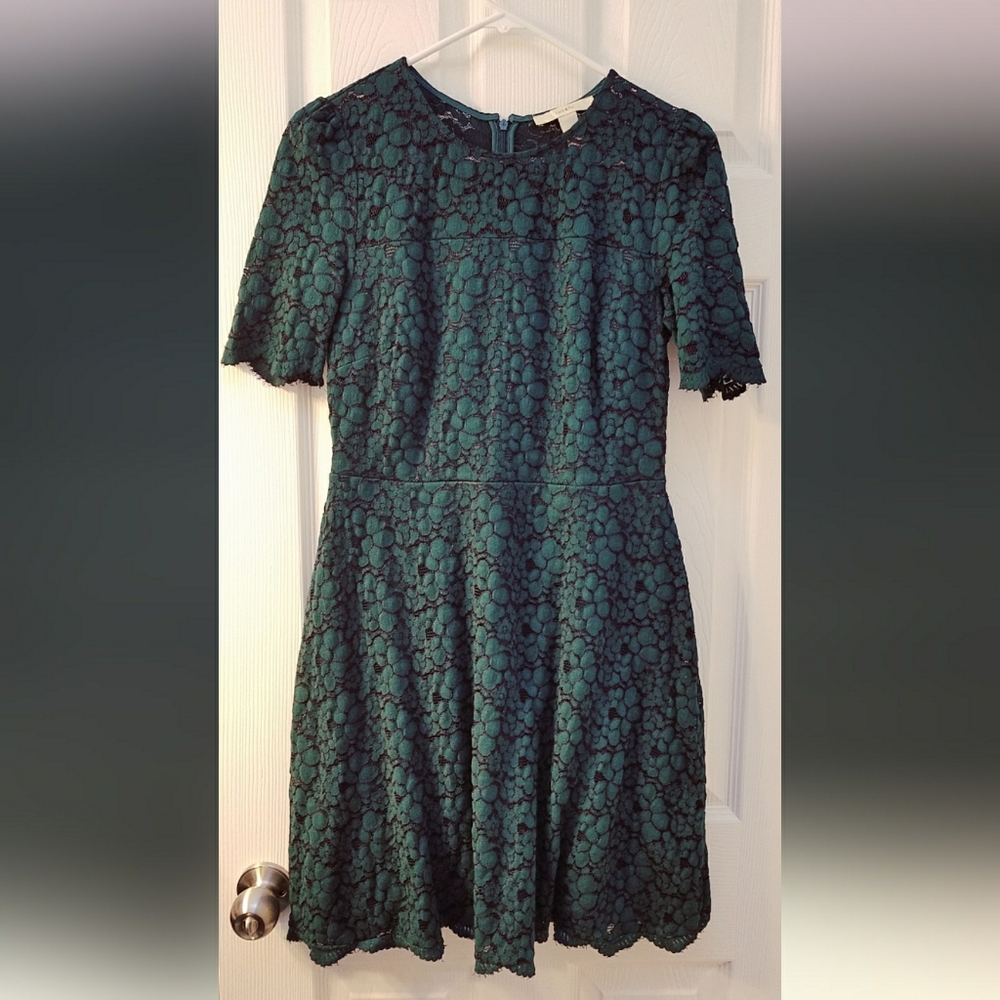 Green and black lace dress from Lark & Ro